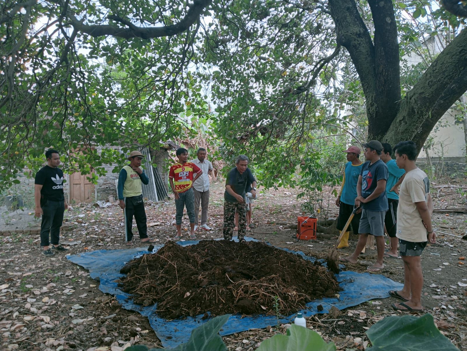 Pesatnya Urban Farming di Mojosongo Boyolali, Bikin Anak Muda Tertarik Bertani